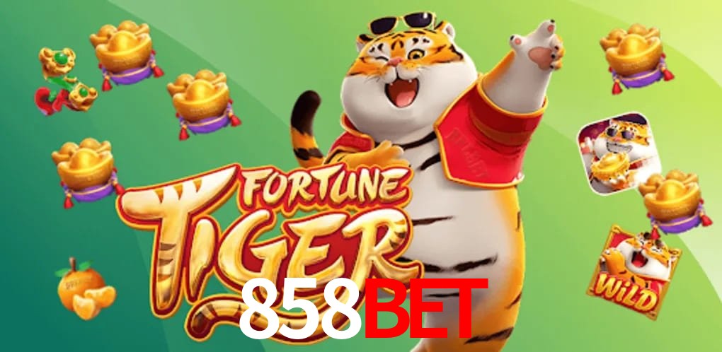 Statistics 858bet